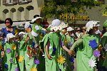 Biberacher Sch�tzenfest 19. Juli 2010 Bunter Zug